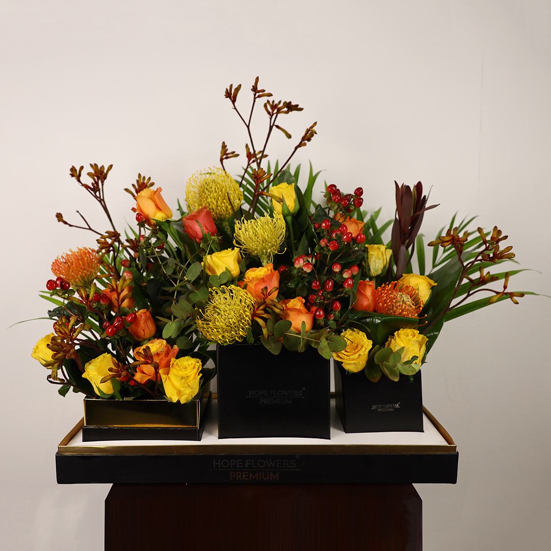 Royal Harmony - Ar 3