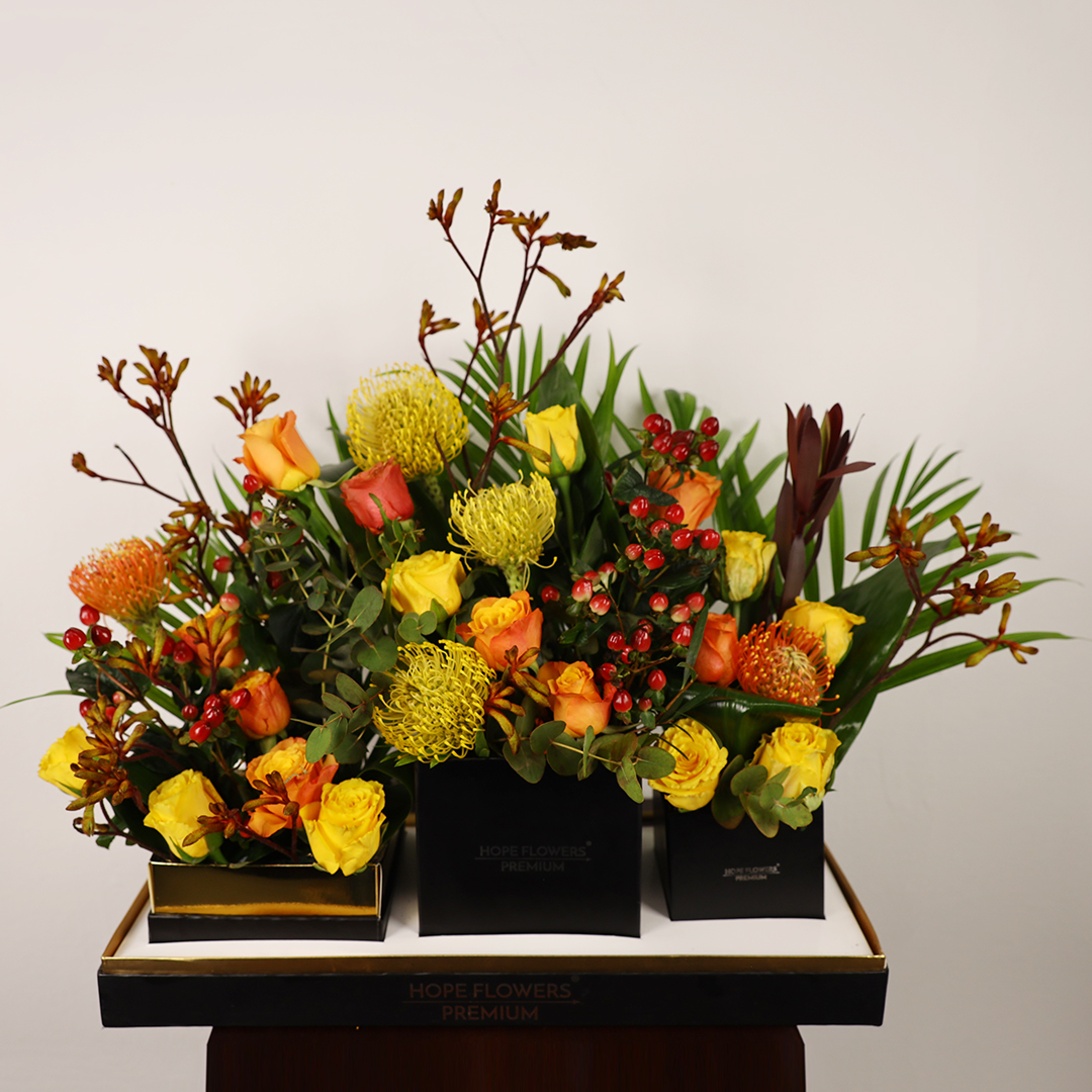 Royal Harmony - Ar 3 - Image 2