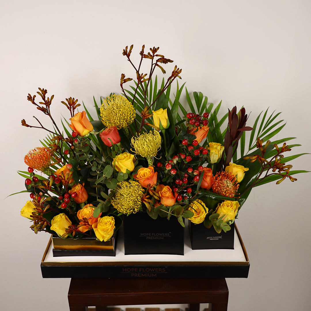 Royal Harmony - Ar 3 - Image 3