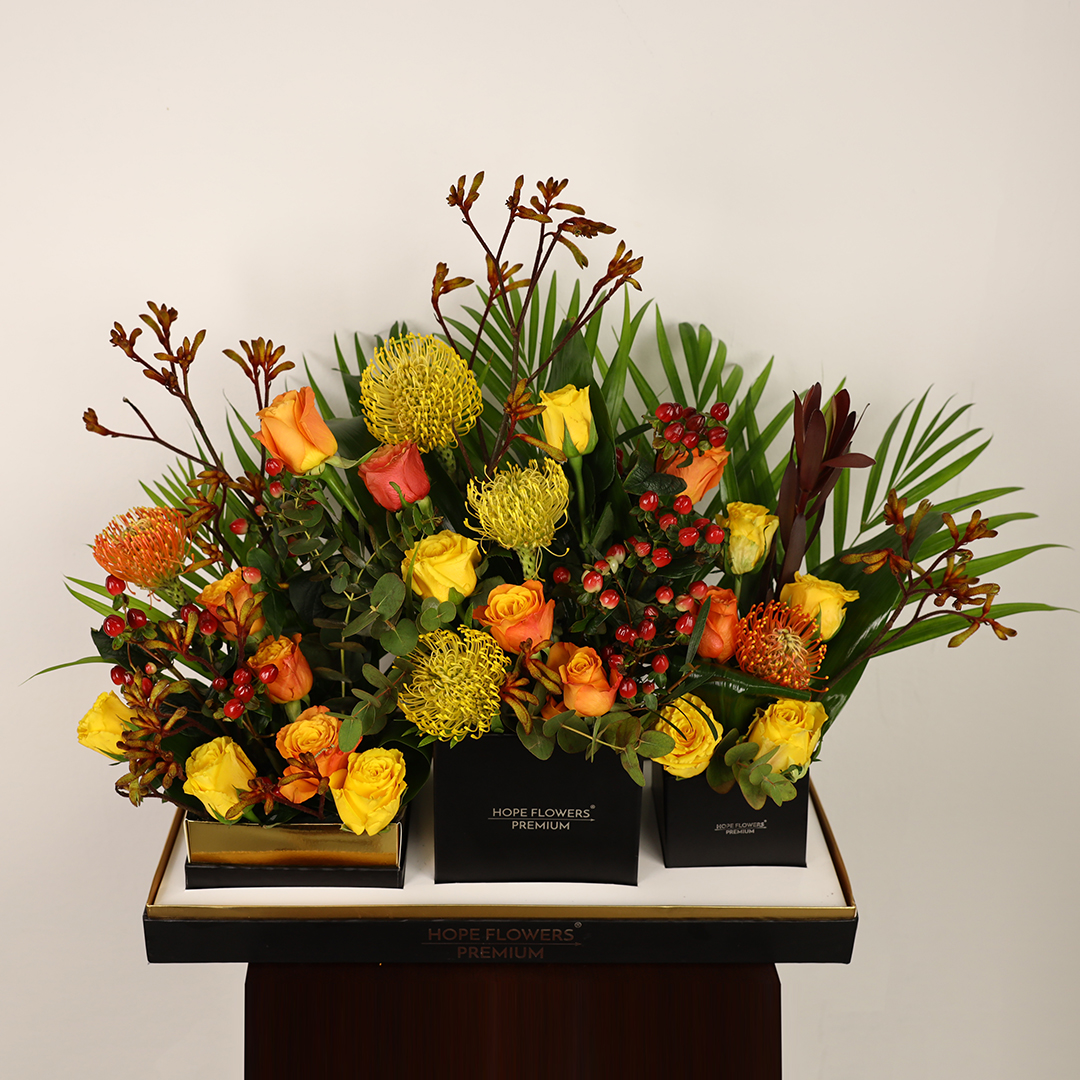 Royal Harmony - Ar 3 - Image 4