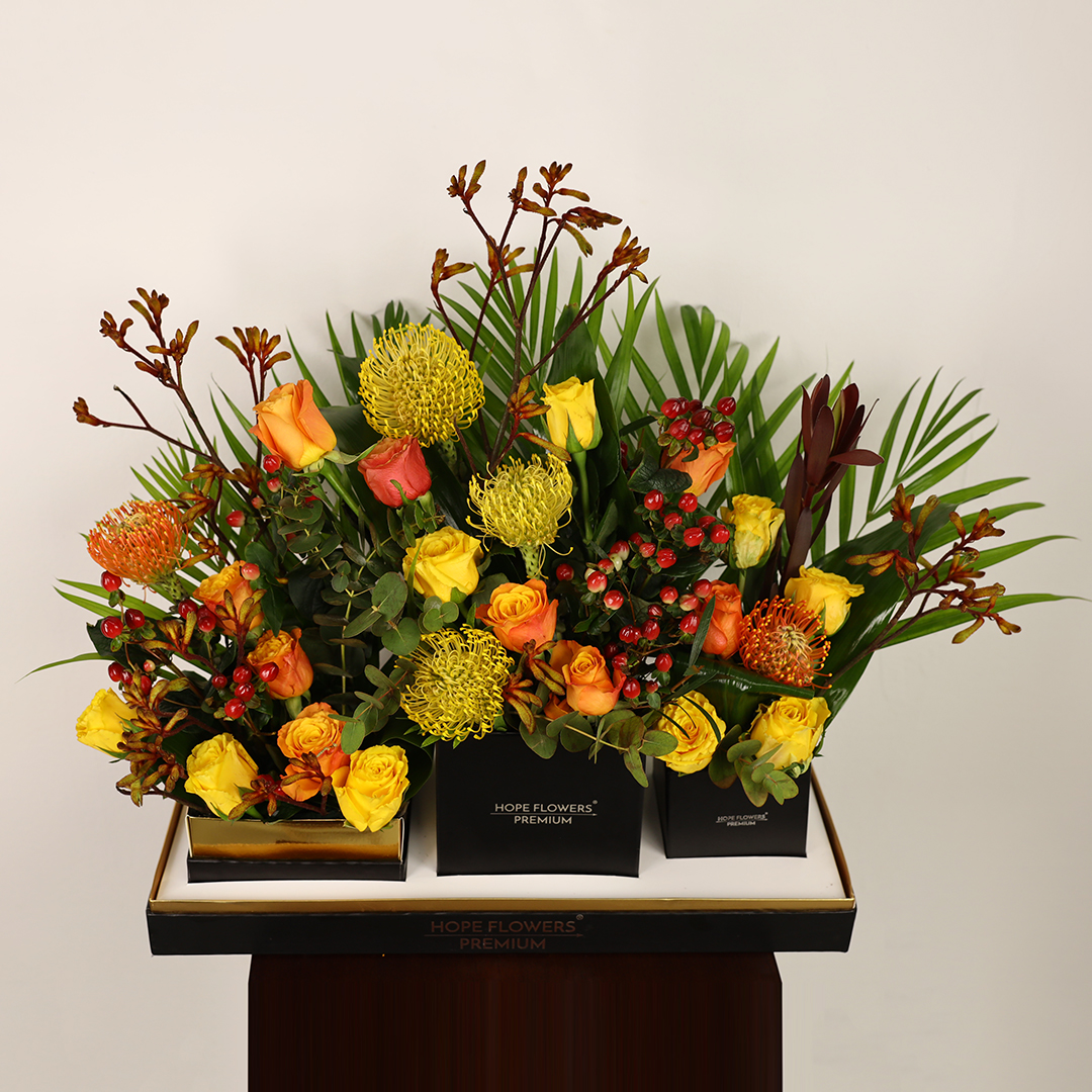 Royal Harmony - Ar 3 - Image 5