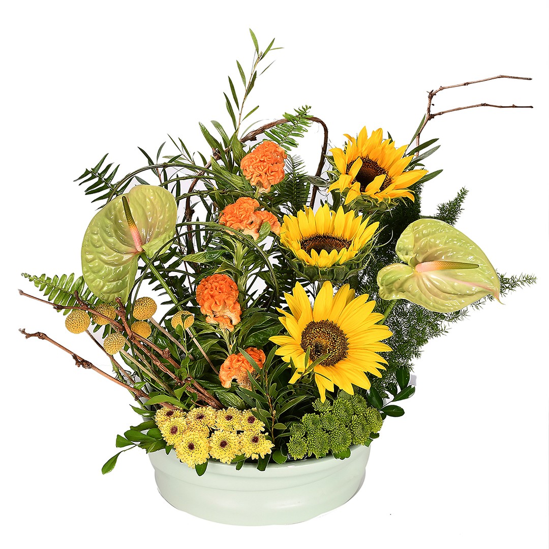 Shining Petals - Nc 64 - Image 2