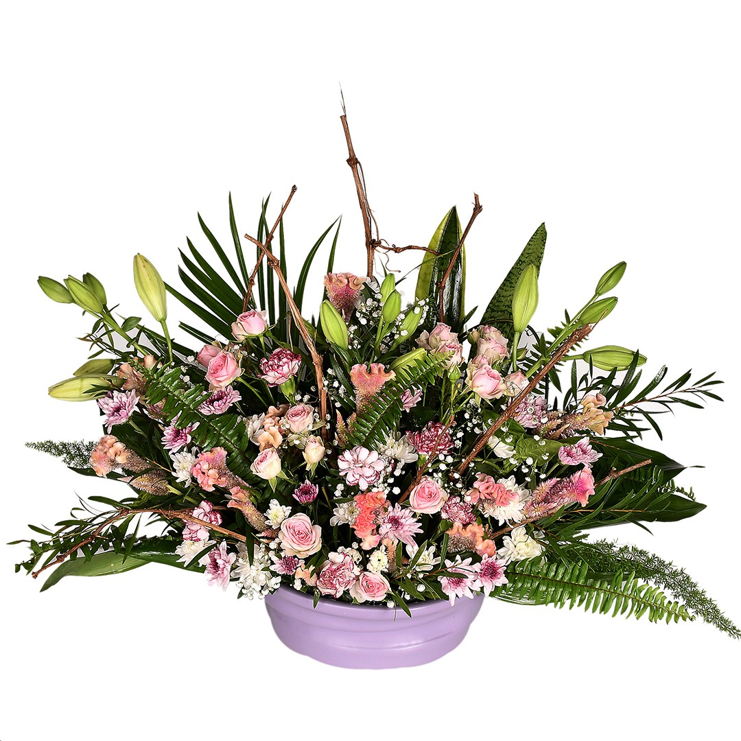 Calm Beauty - Nc 67 - Image 2